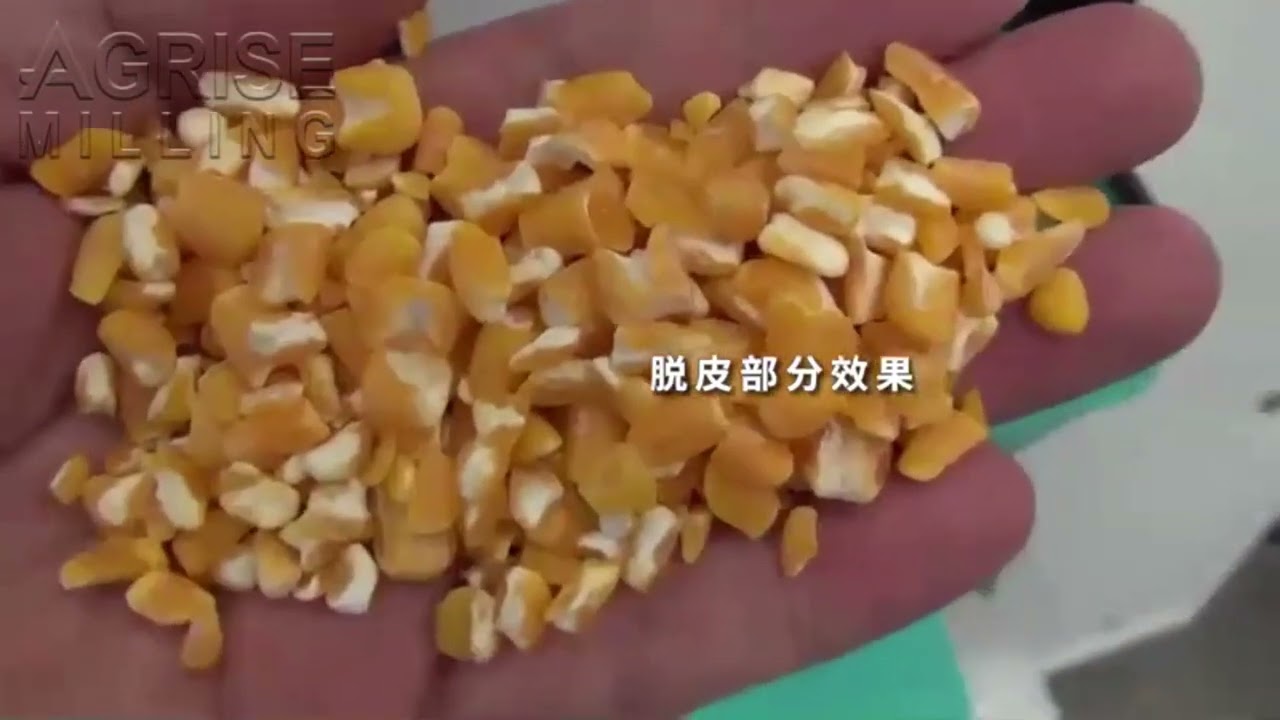 Maize Milling Machine