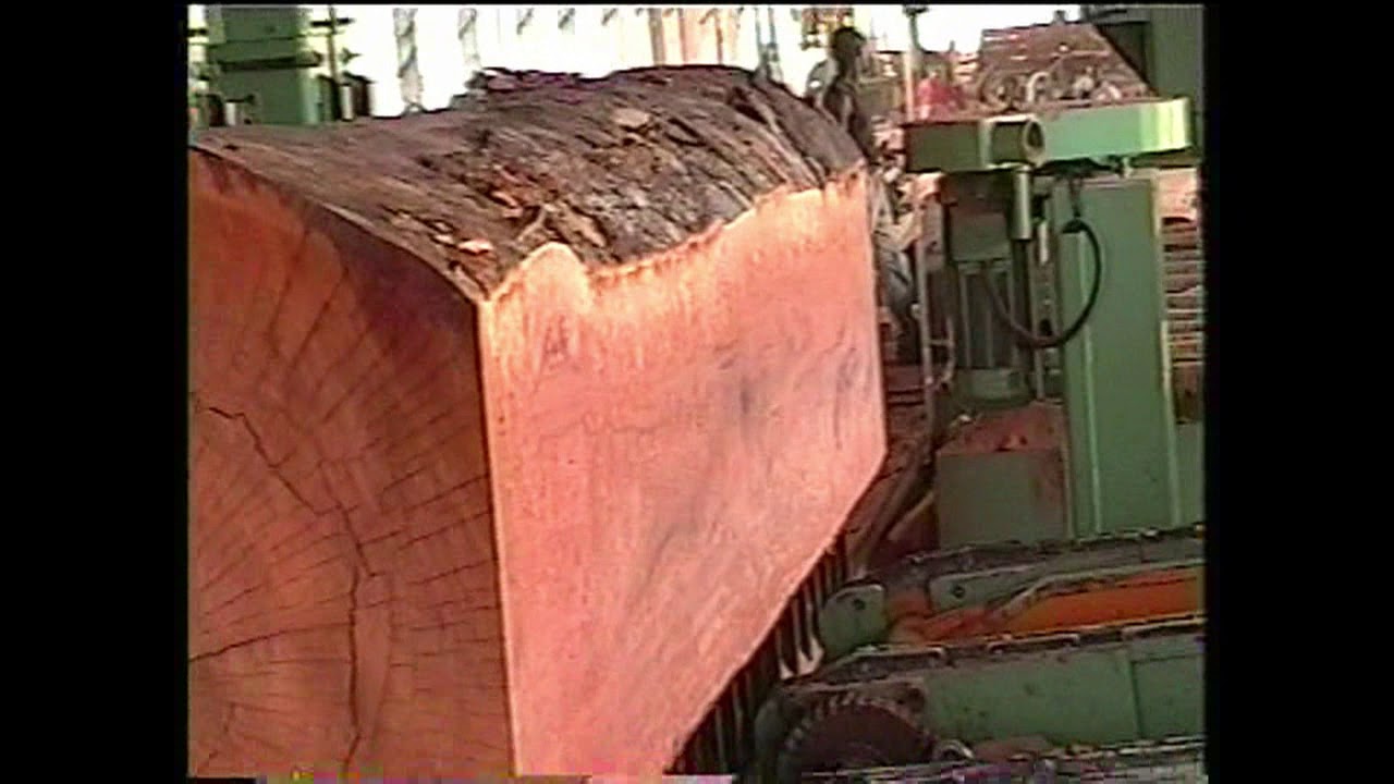 SCIE A GRUMES EXOTIQUE - LOG BANDSAW EXOTIC