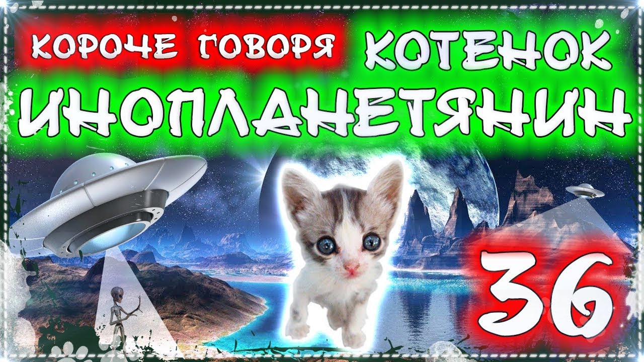 КОРОЧЕ ГОВОРЯ, КОТЕНОК - ИНОПЛАНЕТЯНИН 36 [От первого лица] Бездомный котенок Лайки