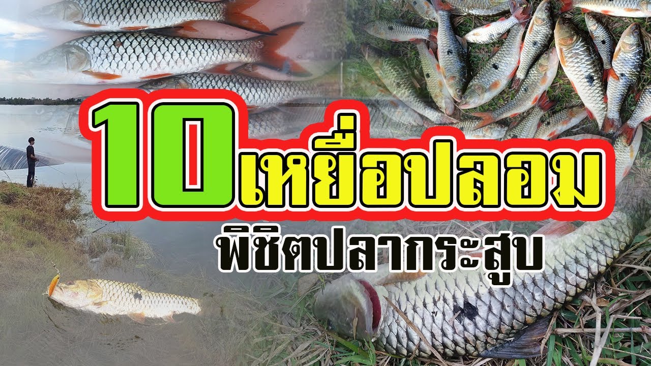 10 อันดับ | เหยื่อปลอมสุดฮิต |  พิชิตปลากระสูบ  |