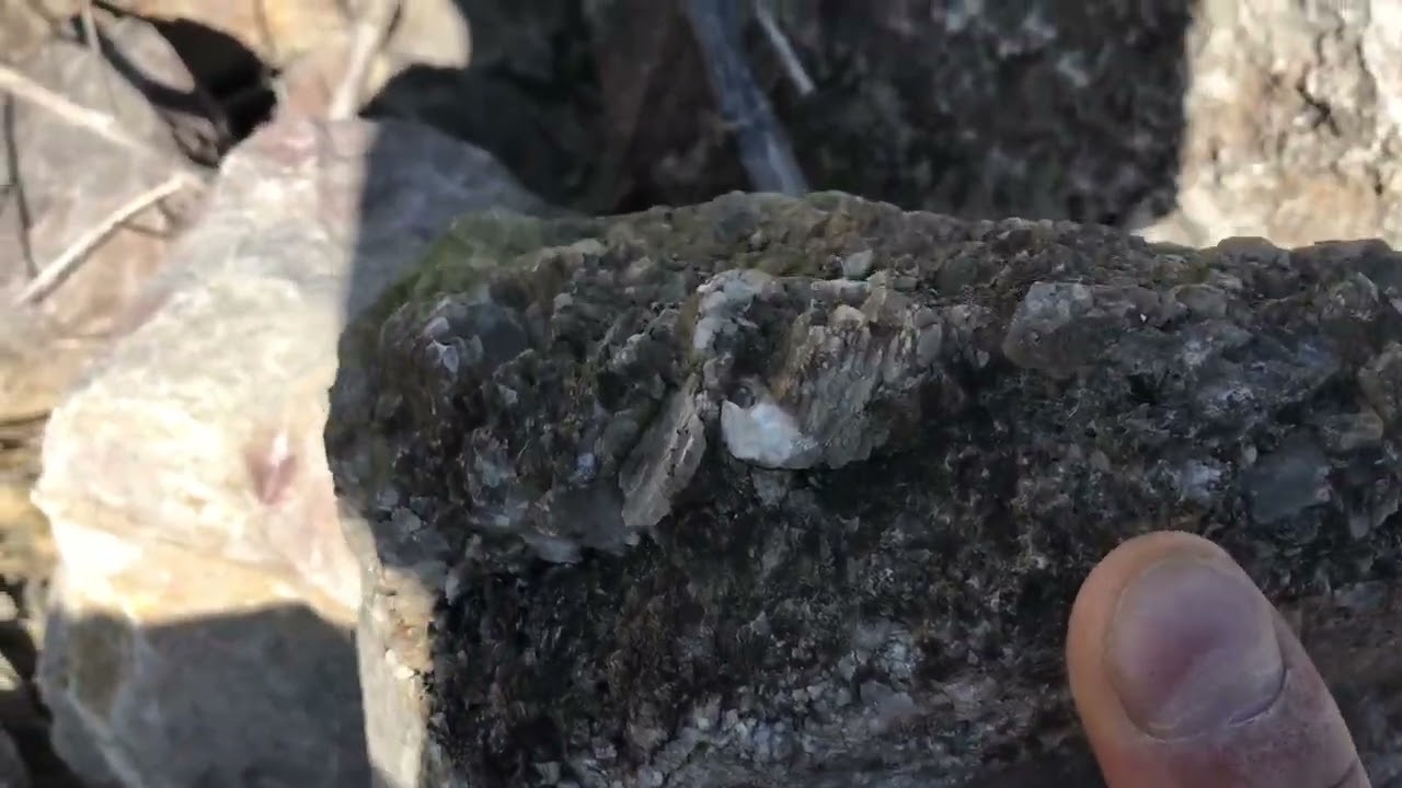 Petite sortie minéraux et fossiles dans une nouvelle carrière