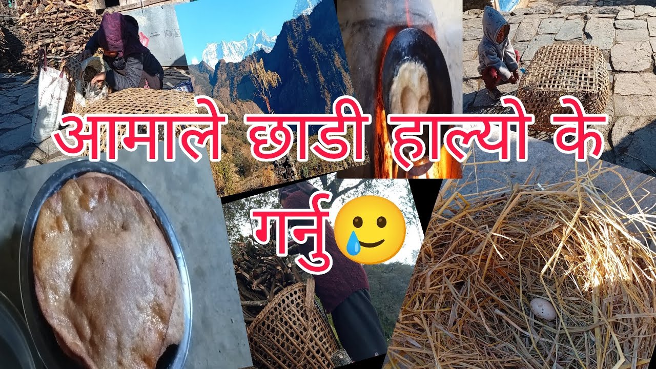 Aamale chhadeko Mero sana2 bachchaharu kati Maya launi🤗#@Aaratiranapun77# gaughar # gaulejiban #vlog