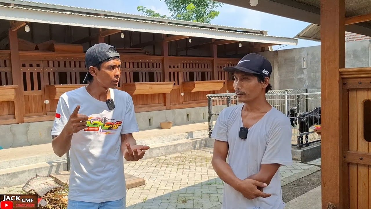 BANGKRUT DI TAHUN 2013 KINI BANGKIT DAN SUKSES DI ETTAWA @SamudraEttawa