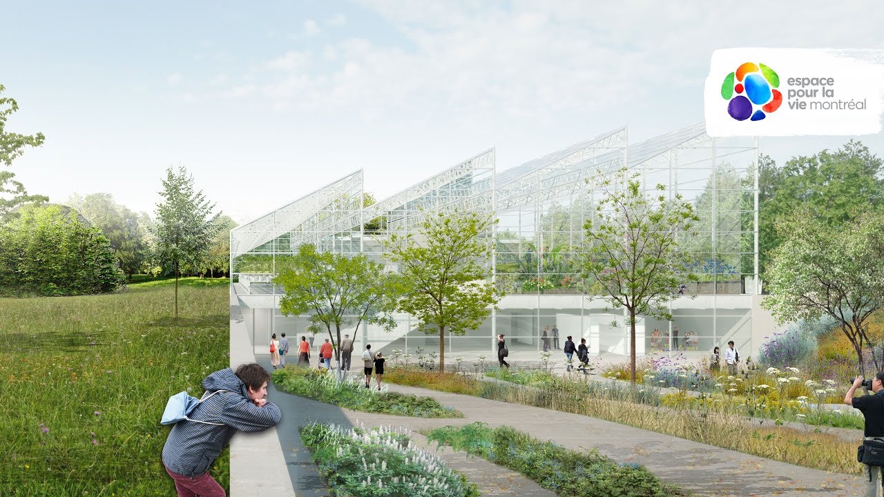 The Insectarium’s Metamorphosis