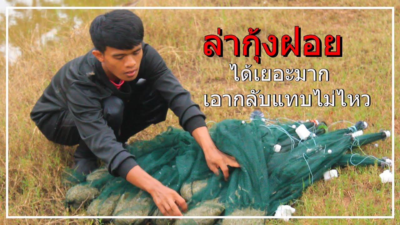 ดักกุ้งฝอยได้เยอะมาก แบกคนเดียวแทบไม่ไหว - อีสานบ้านเอ็ง