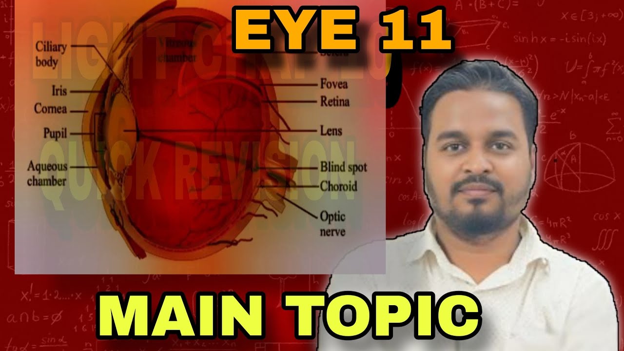 🔥HUMAN EYE QUICK REVISION 🔥#physics #science @merajclasses