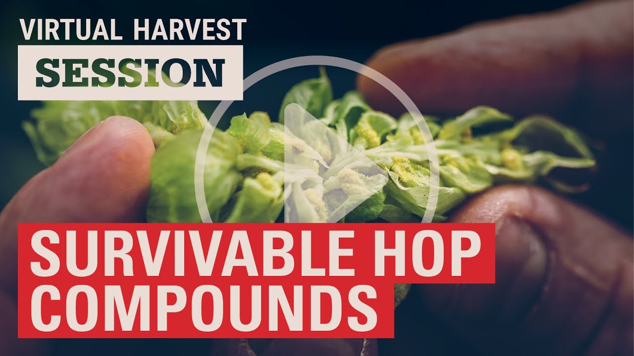 Hop Usage: Exploring the World of Survivable Compounds