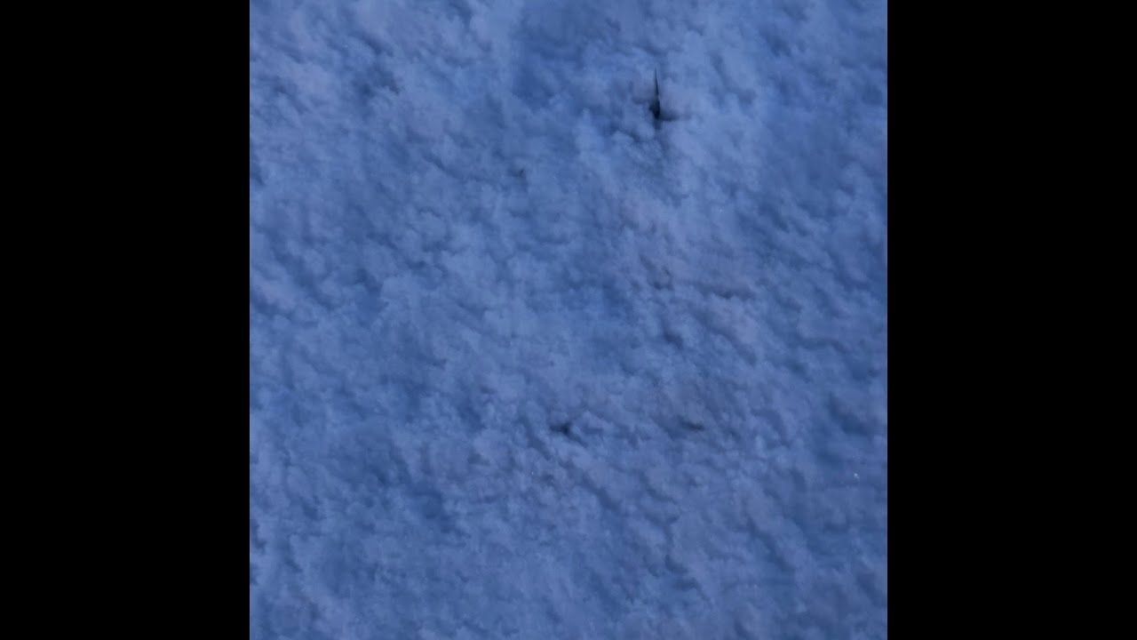 Dark ambient drone ethereal soundscape - This And Other Titles 05 - 1h24