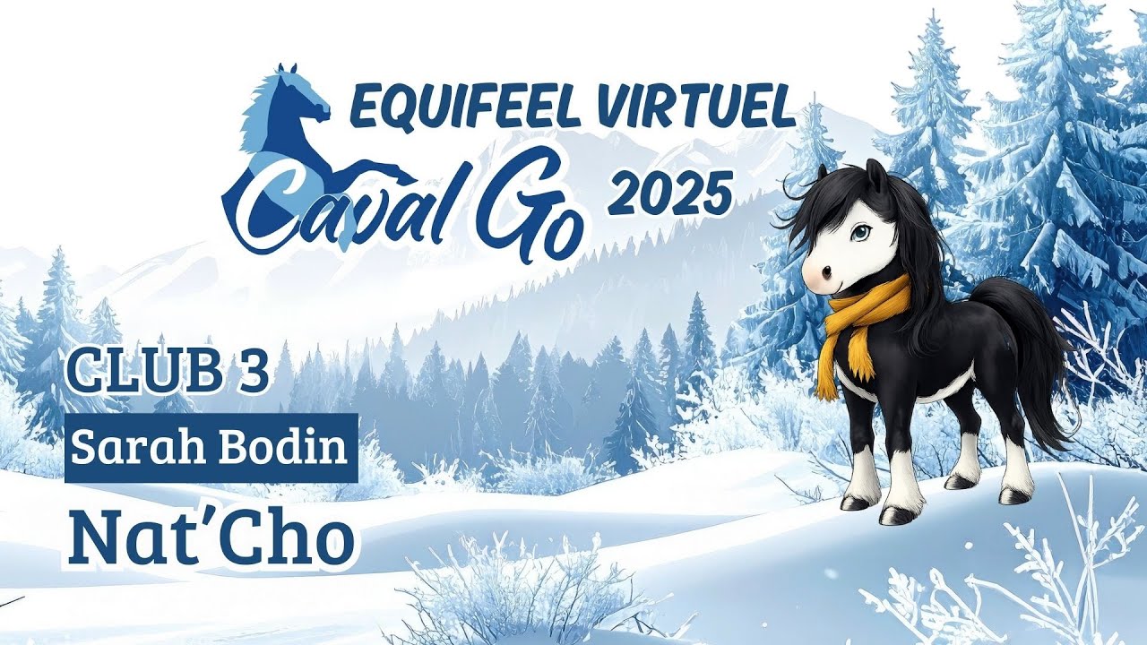 Equifeel virtuel CavalGo 2025 - CLUB 3 Manche 2 - Sarah Bodin & Nat'Cho