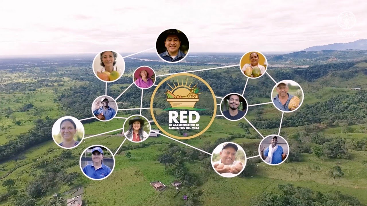 La Red de Abastecimiento del Meta, un modelo agroalimentario eficiente