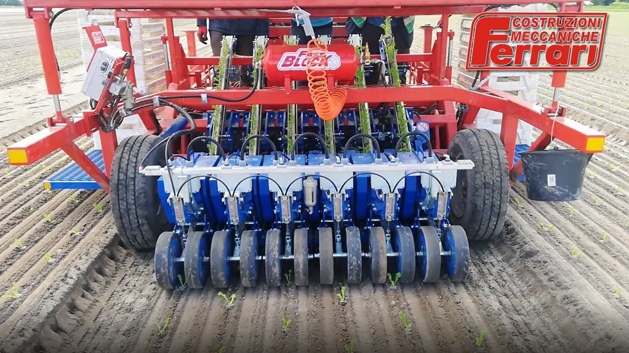 Ferrari Fastblock transplanter - excellent results