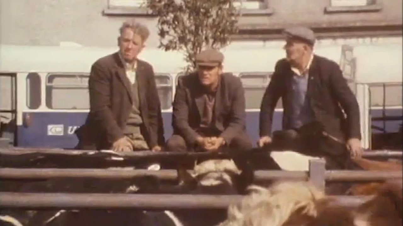 Life in Crossmaglen, Co. Armagh, Ireland 1977