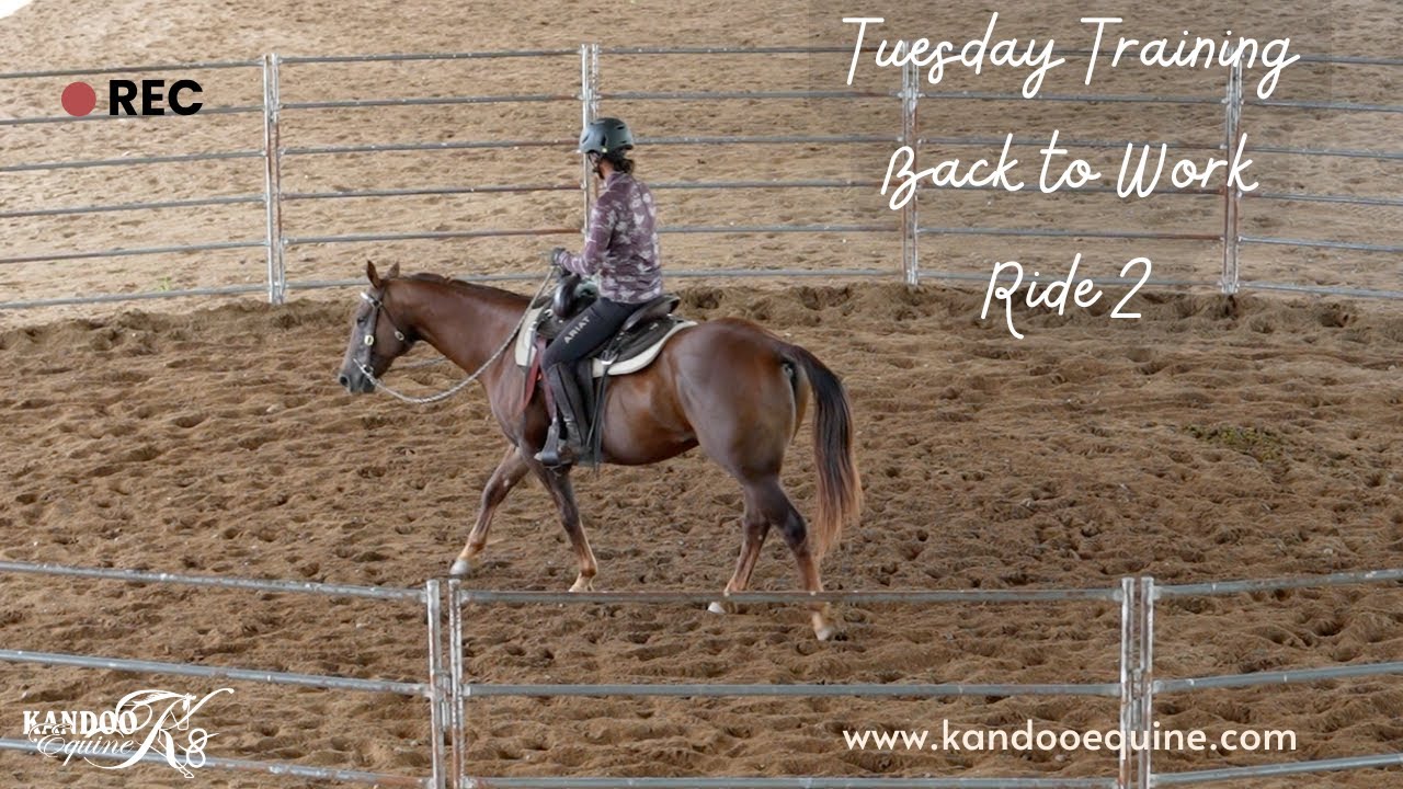 Tuesday Training: Bringing your horse back to work (Ride 2)