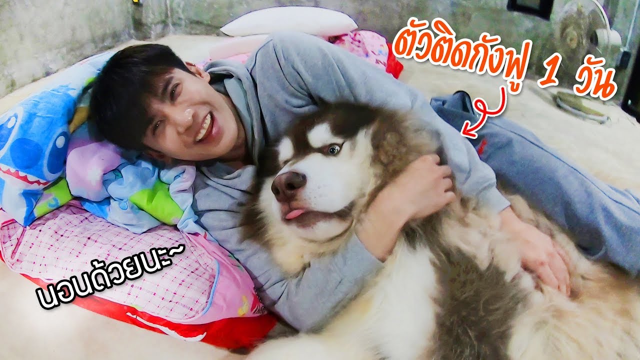 อย่างฮา!? ใช้ชีวิตตัวติดกับกังฟู1วัน l ก็ผมมีลูกเป็นหมา EP.69