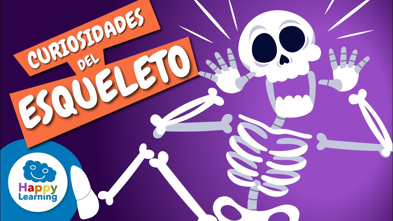 🦴&iquest;Sab&iacute;as que el cuerpo humano tiene m&aacute;s de 200 huesos? | V&iacute;deos Educativos | @HappyLearningES