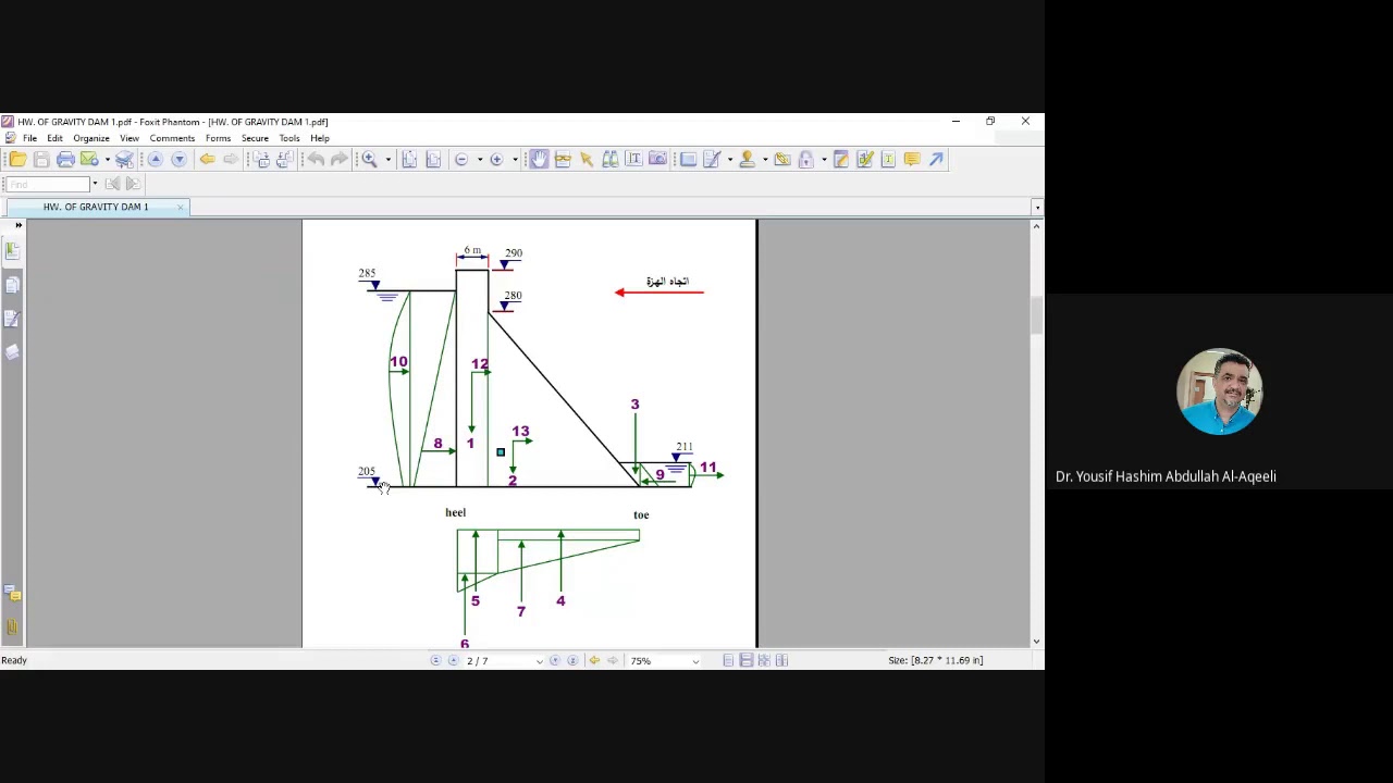 Tutorial of FSO and FSS of gravity dams