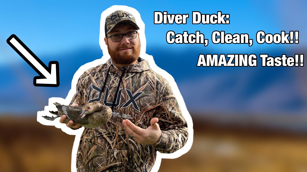 Diver Duck: Catch, Clean, Cook!! AMAZING Taste!!