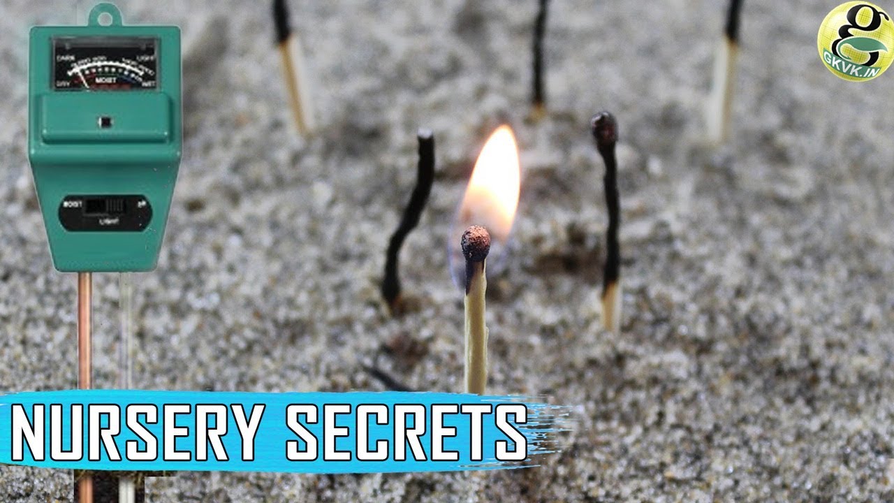 WOOD ASH & BIO-CHAR - Nursery Secrets and Best Fertilizers | Wood Ash for Plants - Alkaline Soil
