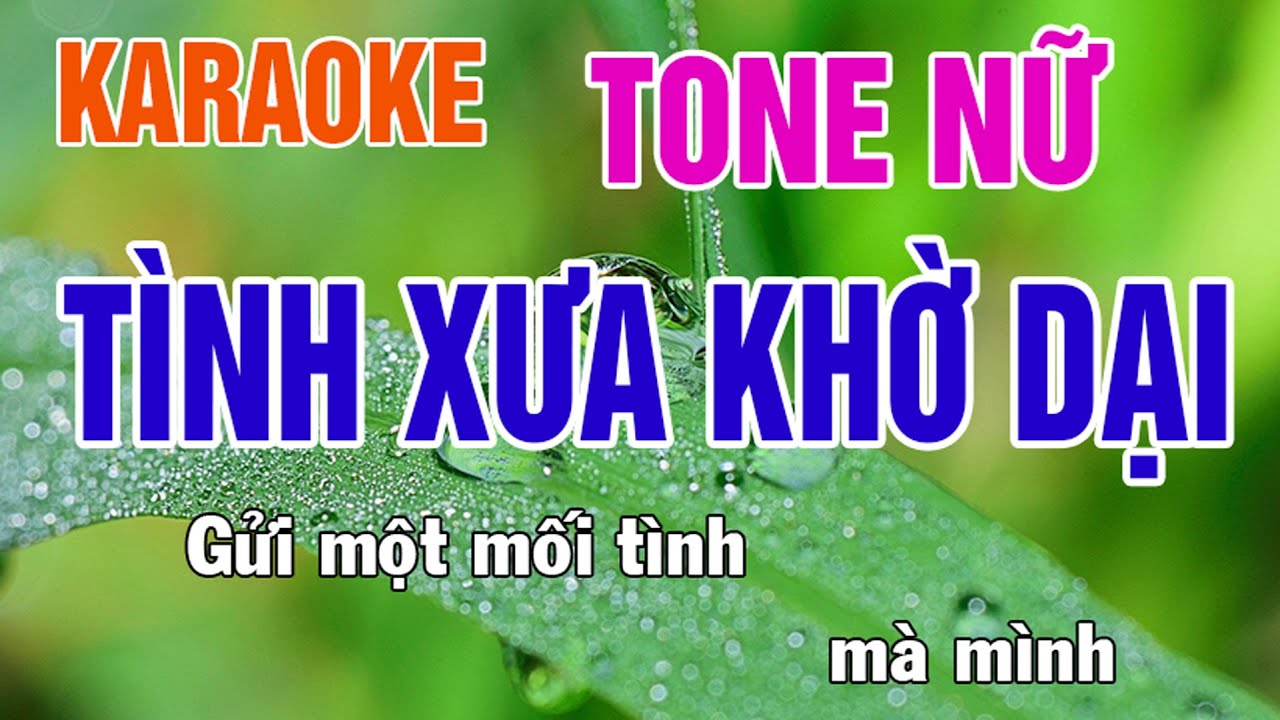 Tình Xưa Khờ Dại Karaoke Tone Nữ Nhạc Sống - Phối Mới Dễ Hát - Nhật Nguyễn
