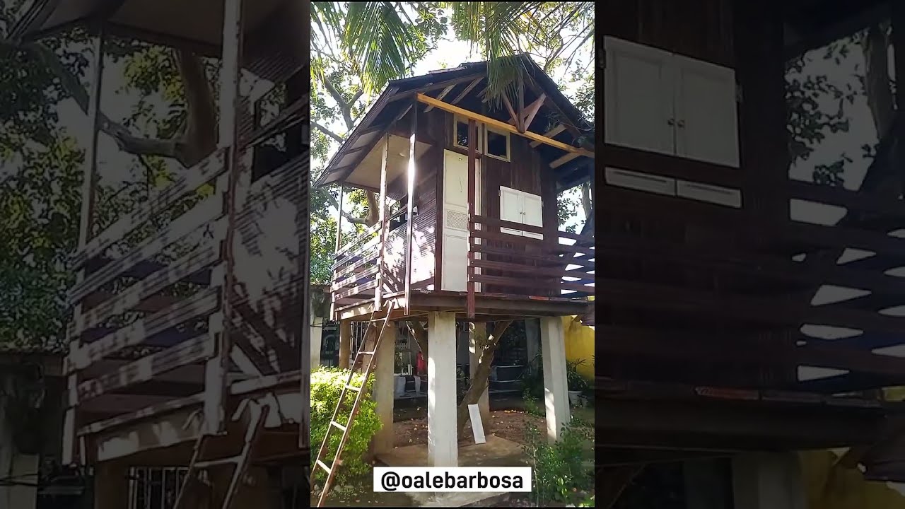 Andamento da Casinha na &Aacute;rvore!🌳🏠 ❤ #shorts