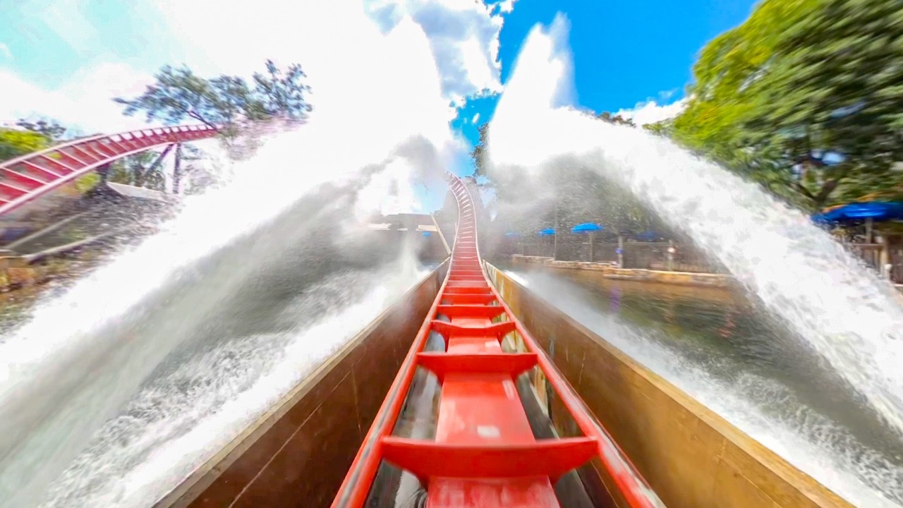 SHEIKRA - Reverse Track View POV - Busch Gardens Tampa Roller Coaster