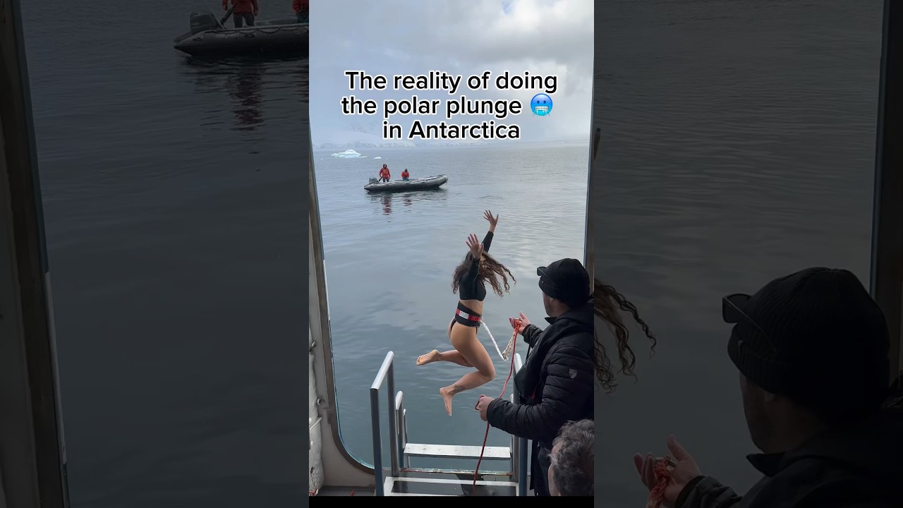 Jumping into FREEZING cold ANTARCTIC water #polarplunge#antarctica#traveler#expedition