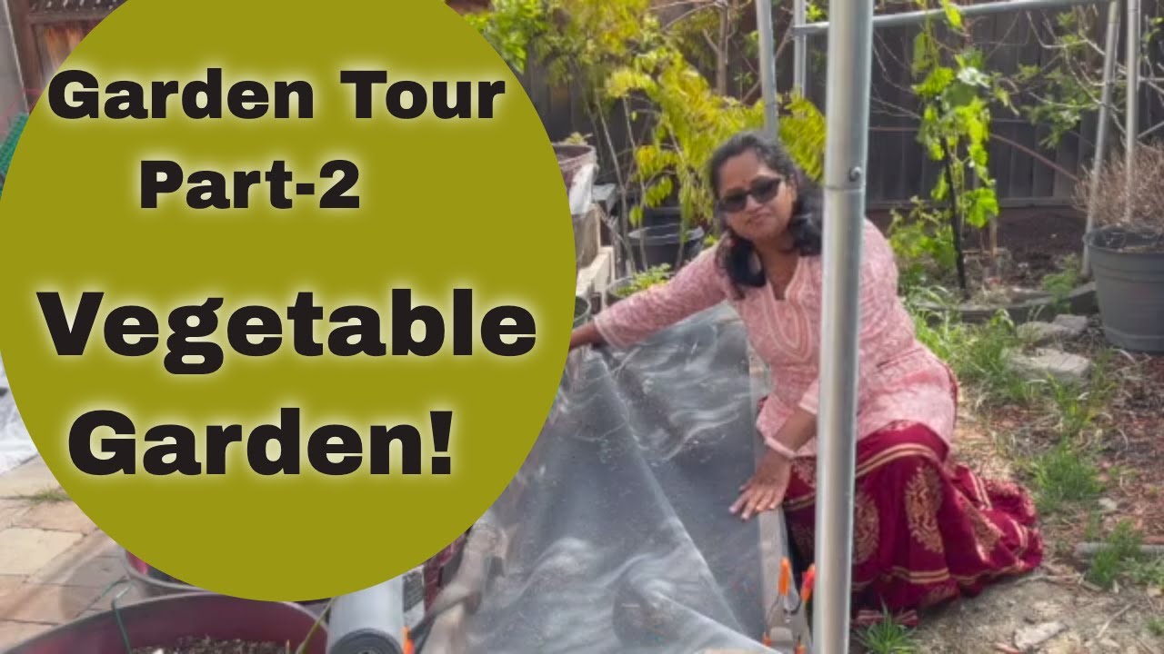 Garden tour 2021-Part -2 / Vegetables beds / Seeds are just sprouting.