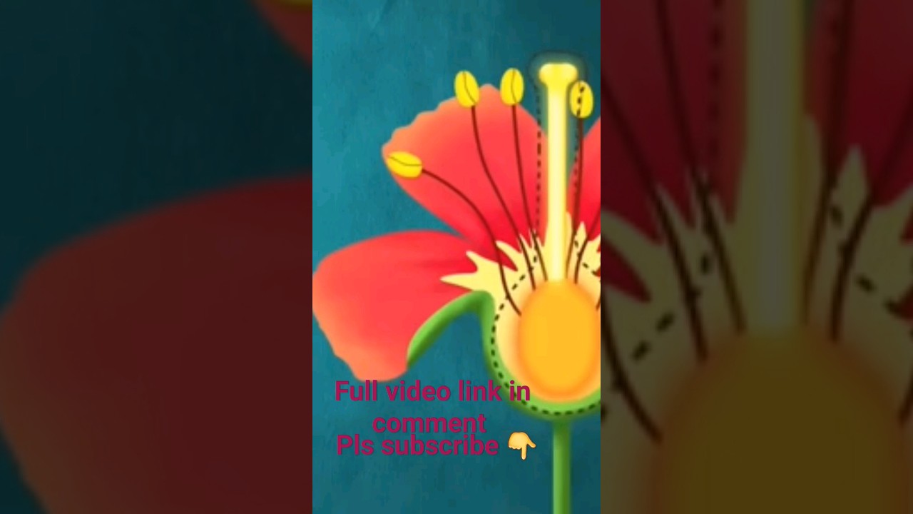 Reproduction in flowering plants|NCERT10  SCIENCE |How do organism reproduce #ncertclass10science