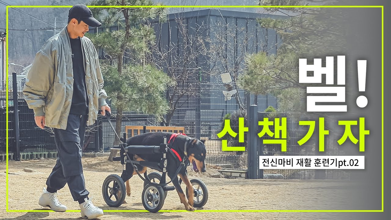 [배정남+벨] 사랑스러운 벨과 딸바보 아빠 배정남의 끈기있는 전신마비 재활훈련기 두번째 이야기-01