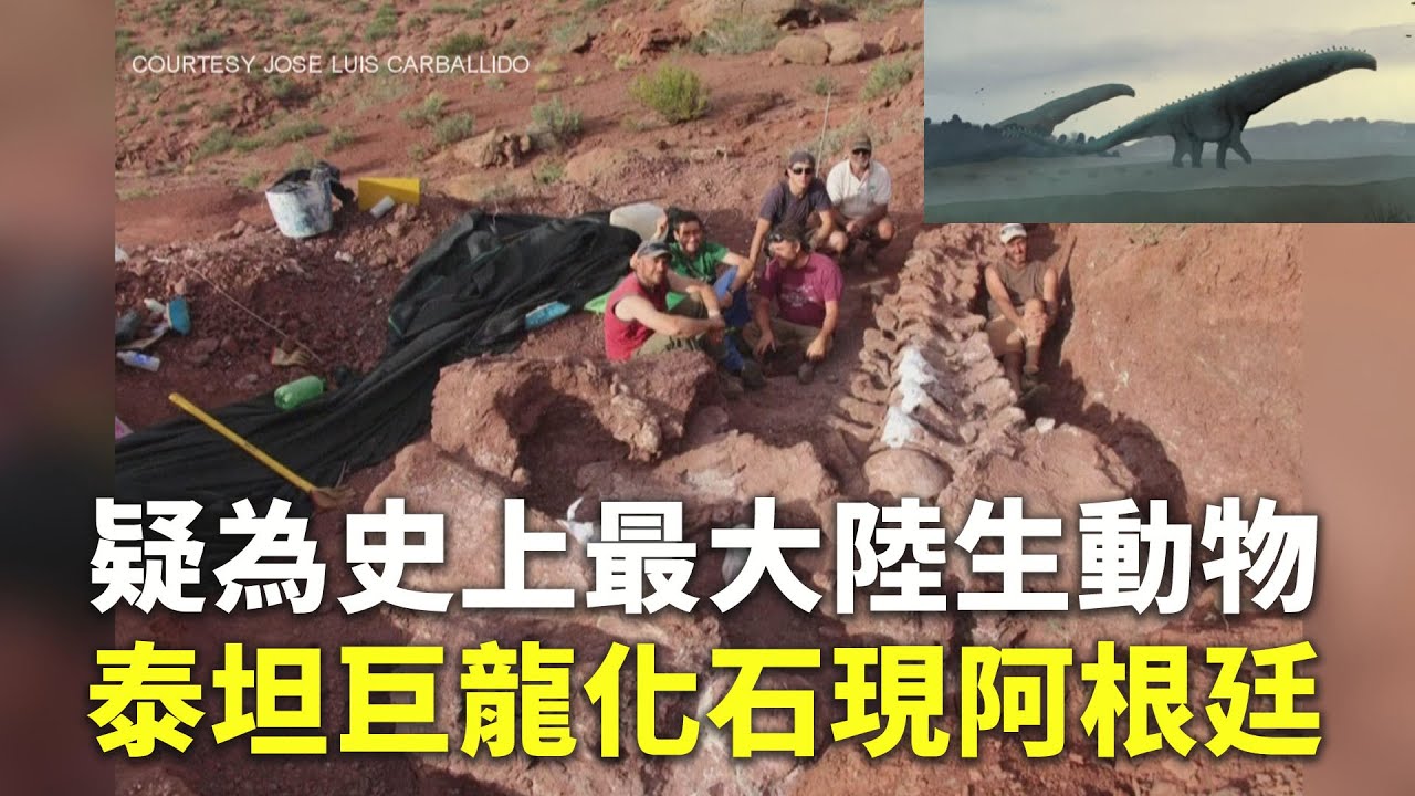 疑為史上最大陸生動物 泰坦巨龍化石現阿根廷 - 古生物新發現 - 新唐人亞太電視台