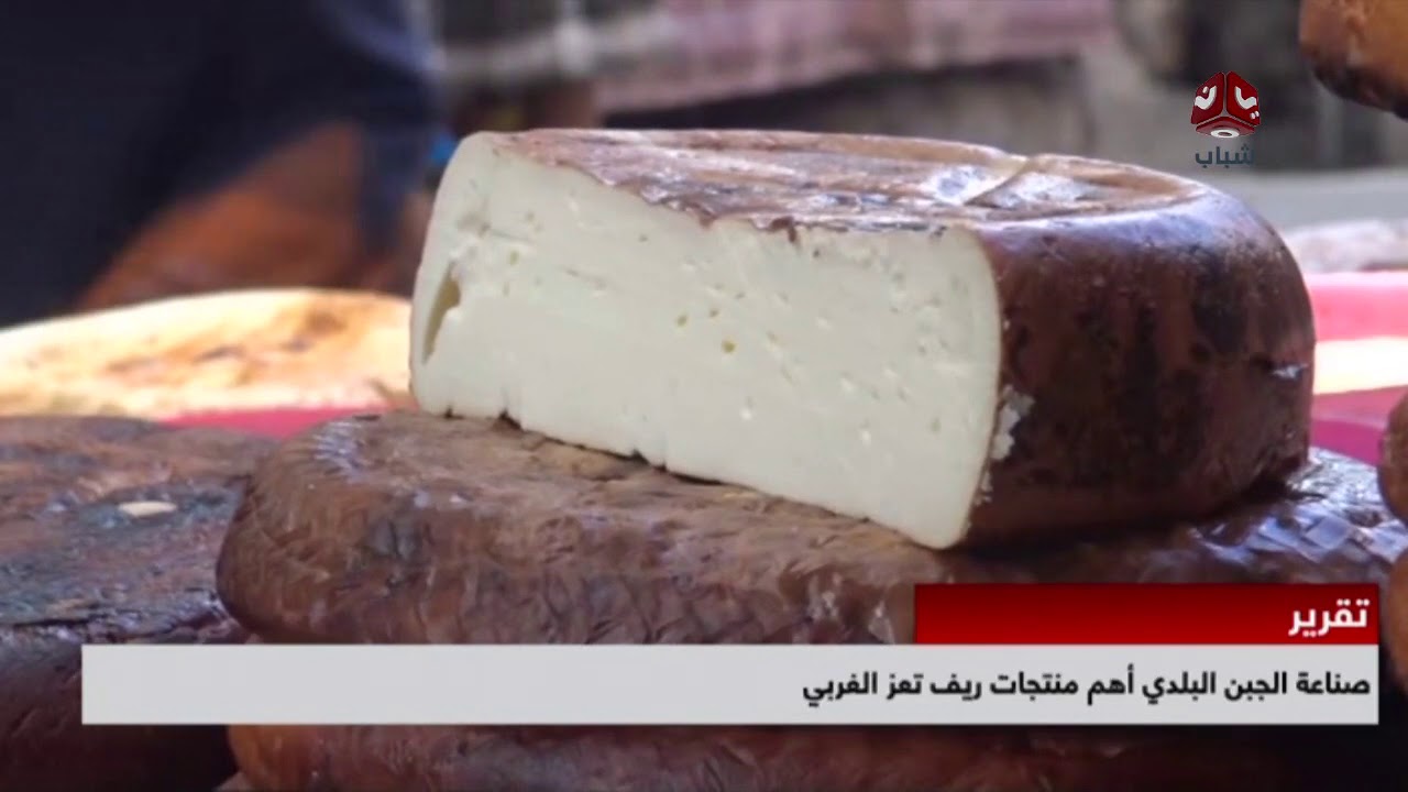صناعة الجين البلدي اهم منتجات ريف تعز الغربي | تقرير عبدالعزيز الذبحاني | يمن شباب