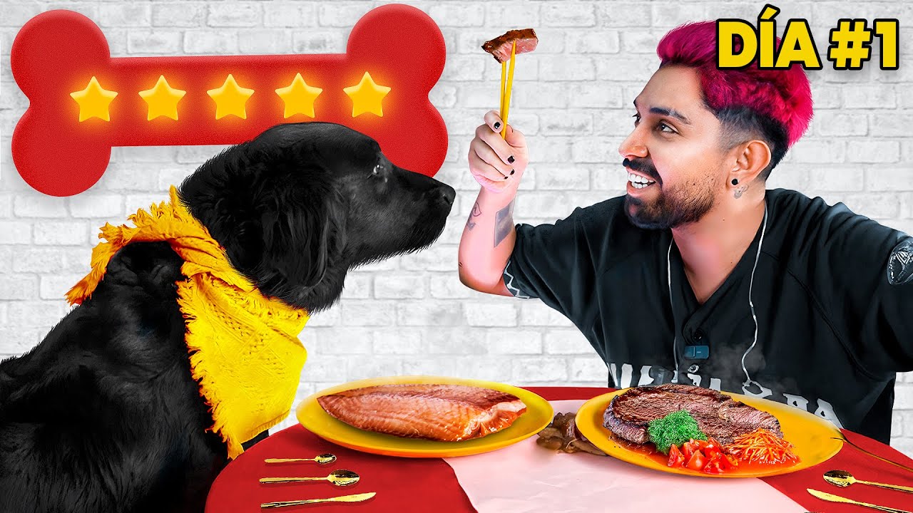 LE DOY A MI PERRITA LA CARNE MÁS CARA DEL MUNDO | EPISODIO 1 DE 10