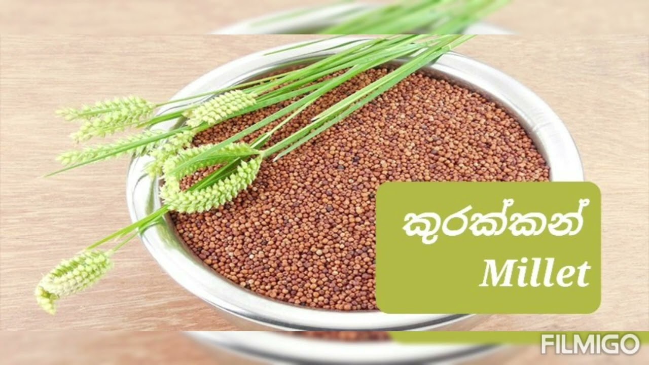 ගර්භණී සමයේ ආහාරයට සුදුසු ආහාර ( Foods for pregnant woman ) #pregnancy #food