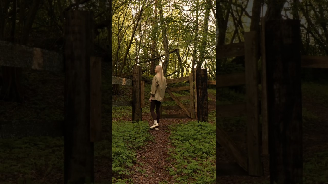 Асмр: &laquo;прогулка в лесу&raquo;🎧🌿 #forestlife #nature #asmrnature #лес #relax #жизньвдеревне #домвлесу