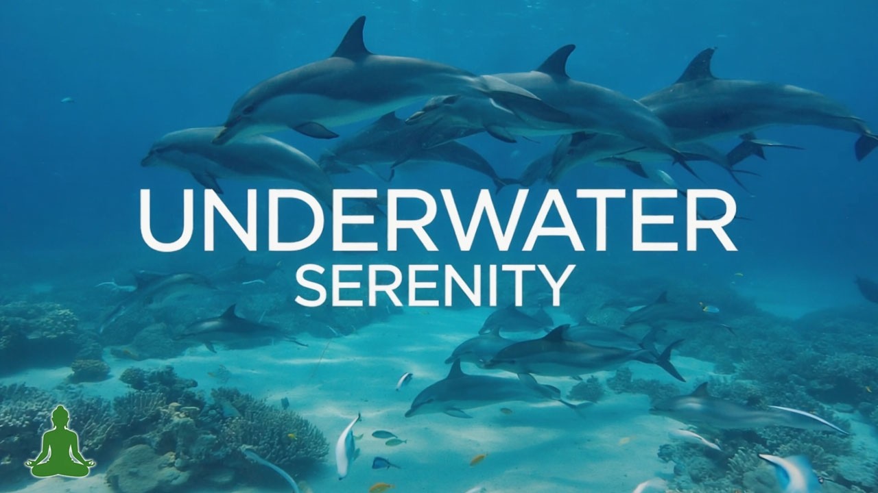 Reino Subaquático de Serenidade 🌊 Música Ambiente para Calma e Relaxamento Profundo
