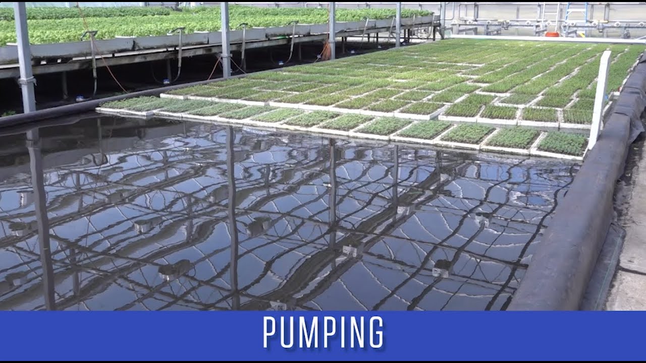 How to design an energy efficient hydroponic system?