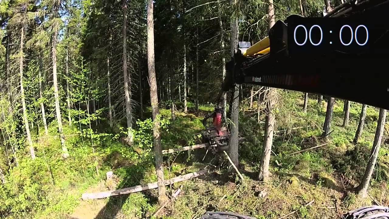 F&ouml;ruts&auml;ttningarna vid avverkning, viktiga f&ouml;r l&ouml;nsamheten