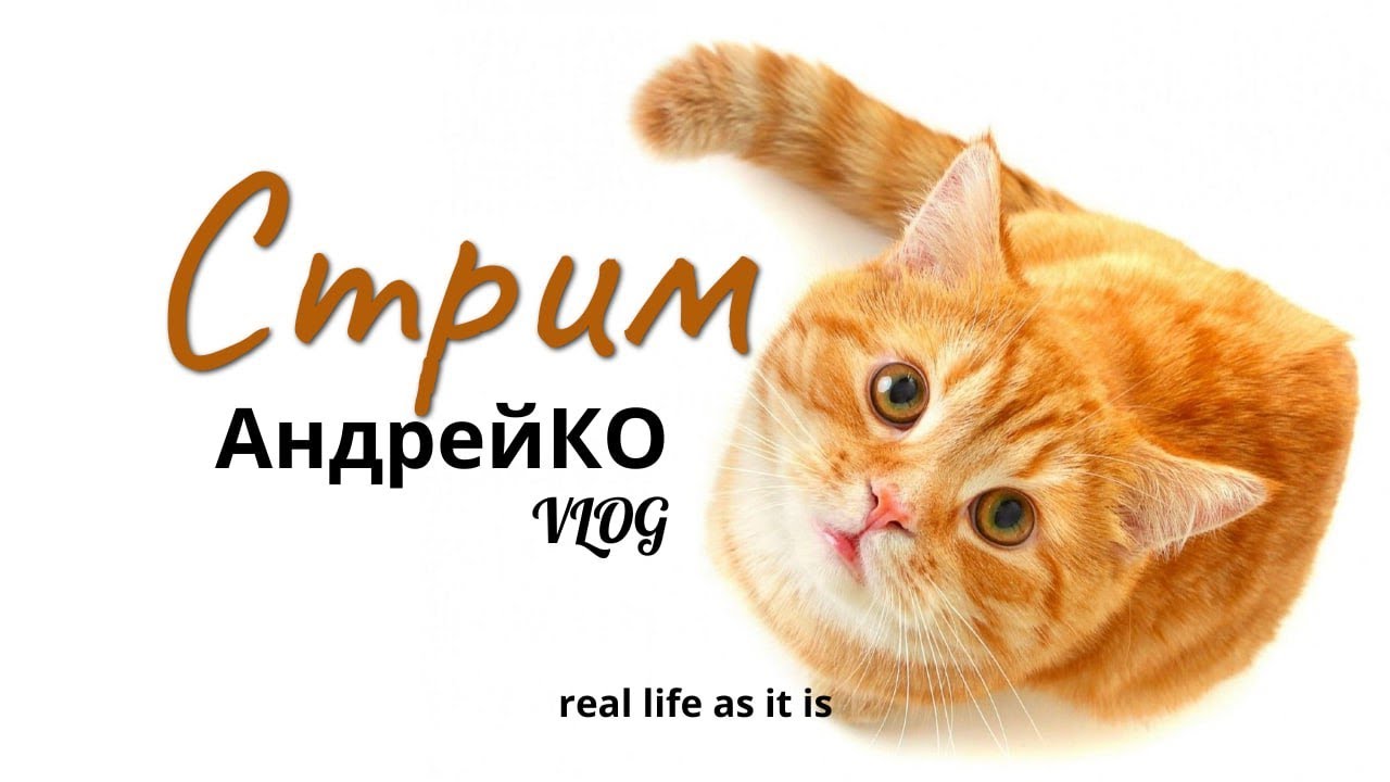 Онлайн АндрейКО