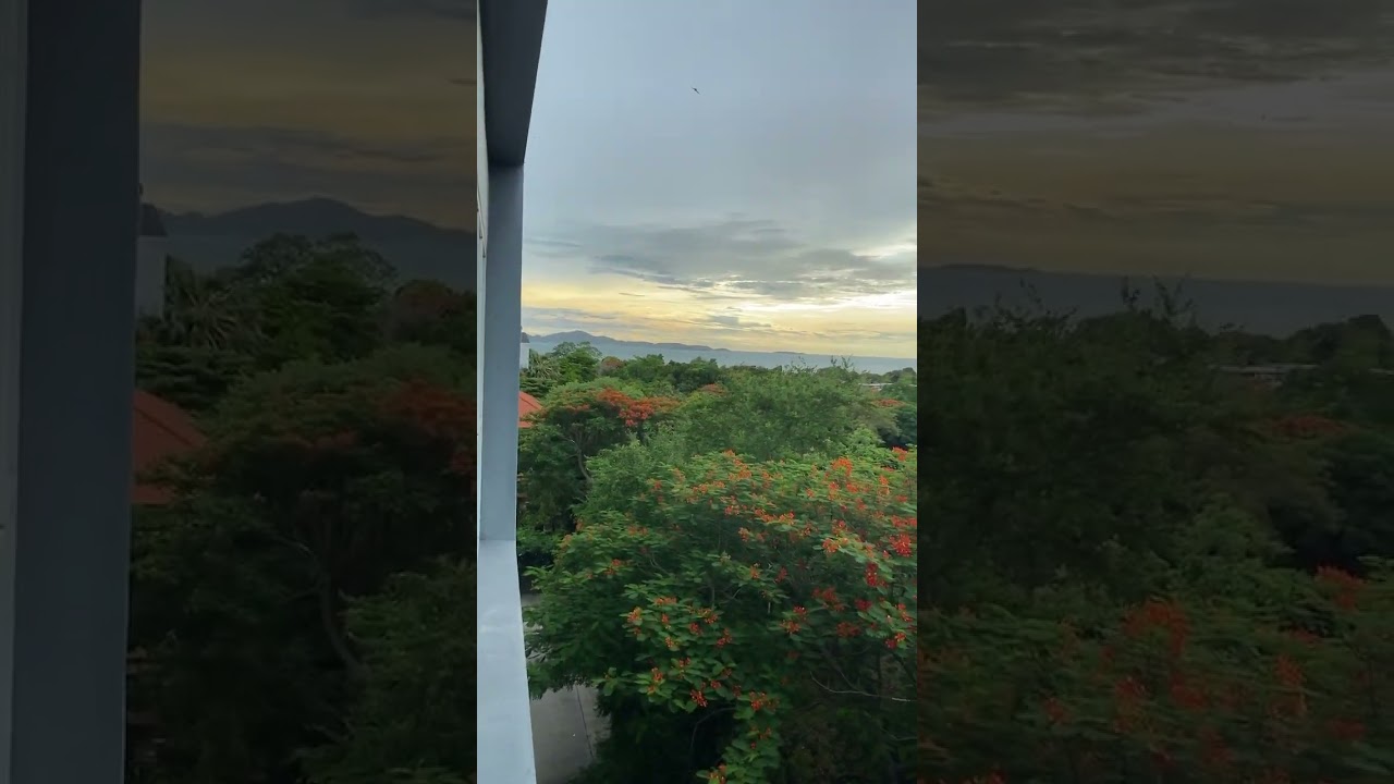 Cooking with sea view