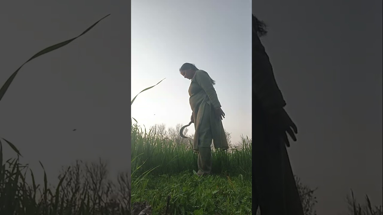 Viralvideo #villagerlifestyle #minivlog #LikeFollowShare #ytshorts 