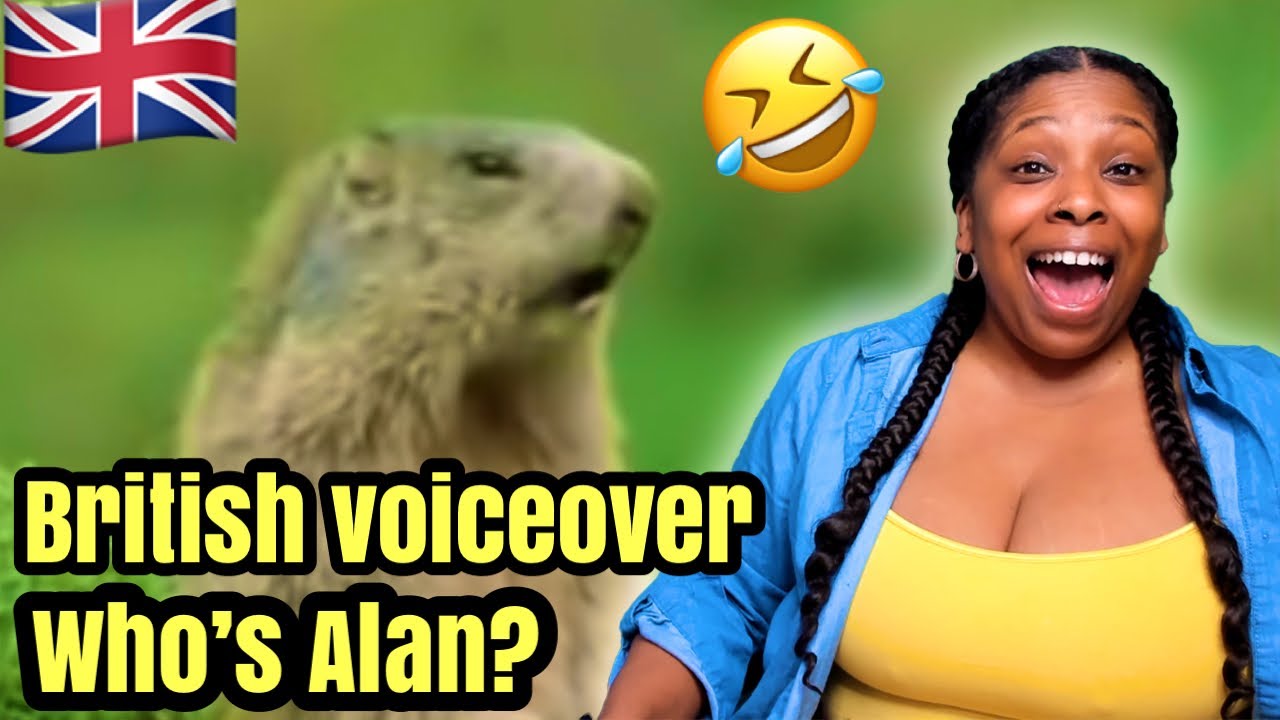 American Reacts to Funny British Animal Voiceovers