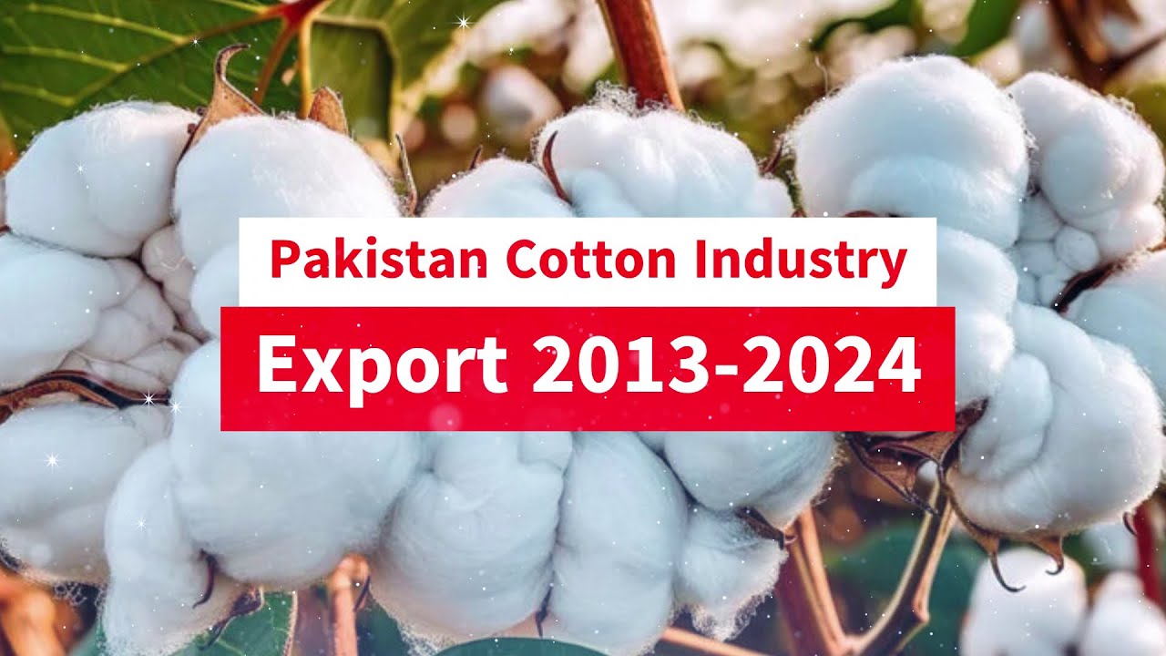 Pakistan's Cotton Journey: Raw Cotton Export and Industry Trends (2013-2024)