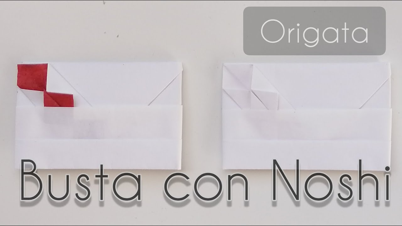 Origata Busta con Noshi