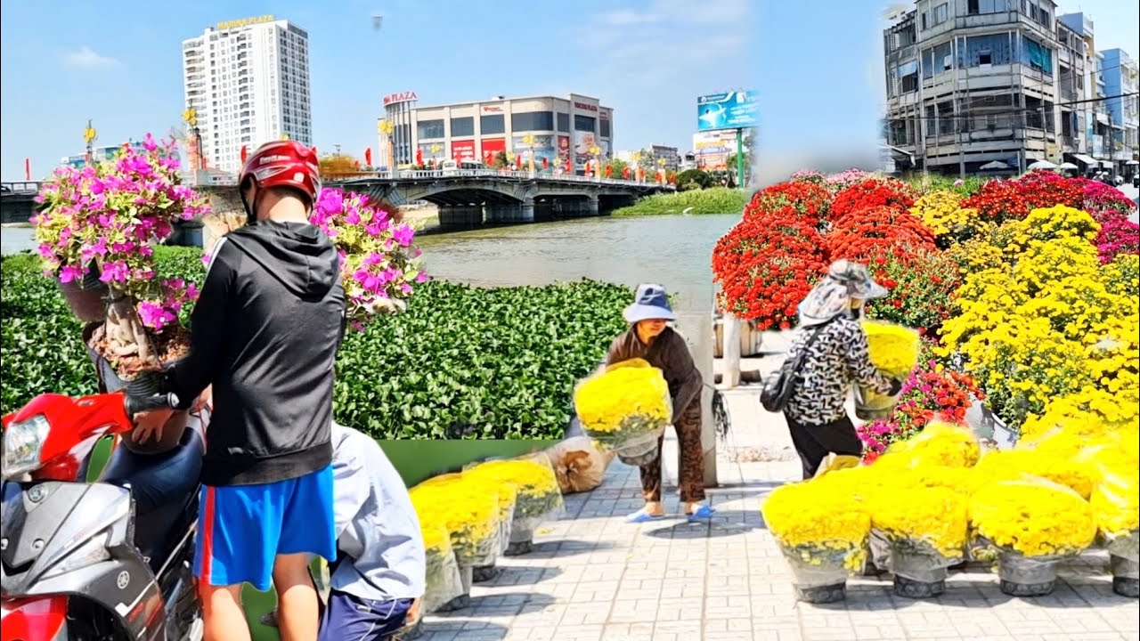 Chợ Hoa Tết Long Xuyên Nhộn Nhịp Ngày Cận Tết – Hoa Kiểng Đổ Bộ Rực Sắc