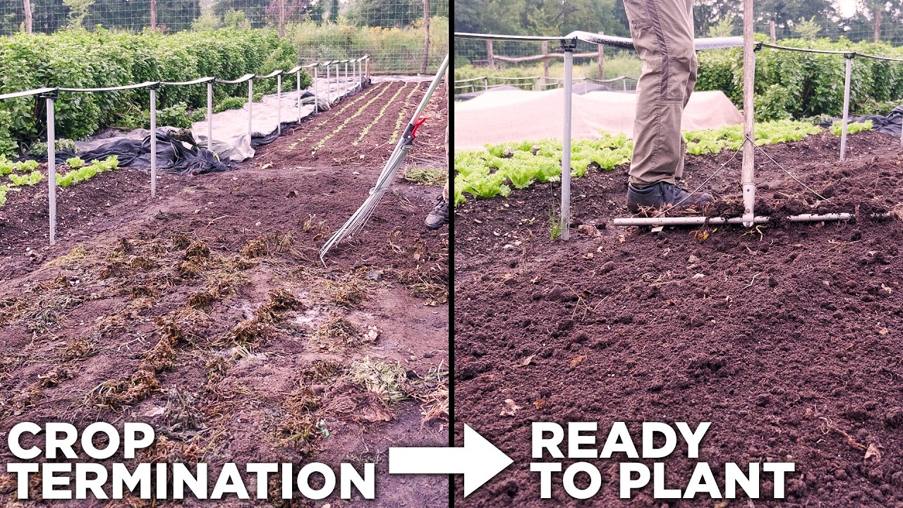 Quickly Transition Beds Between Crops With The Tilmor E-Ox