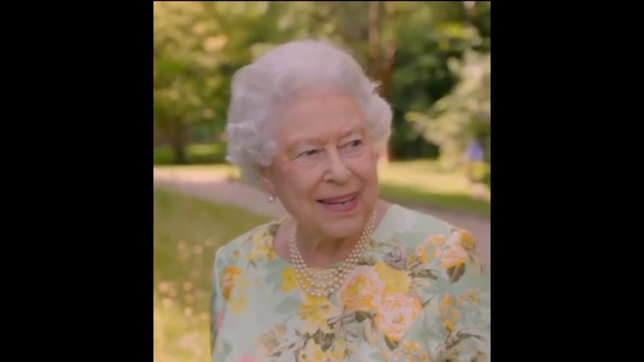 watch people and animals die inside part 45 (reuploaded...)