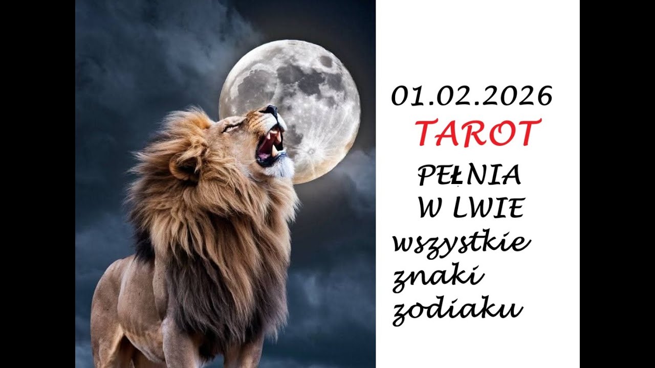 TAROT # PEŁNIA KSIĘŻYCA W LWIE # 01.02.2026