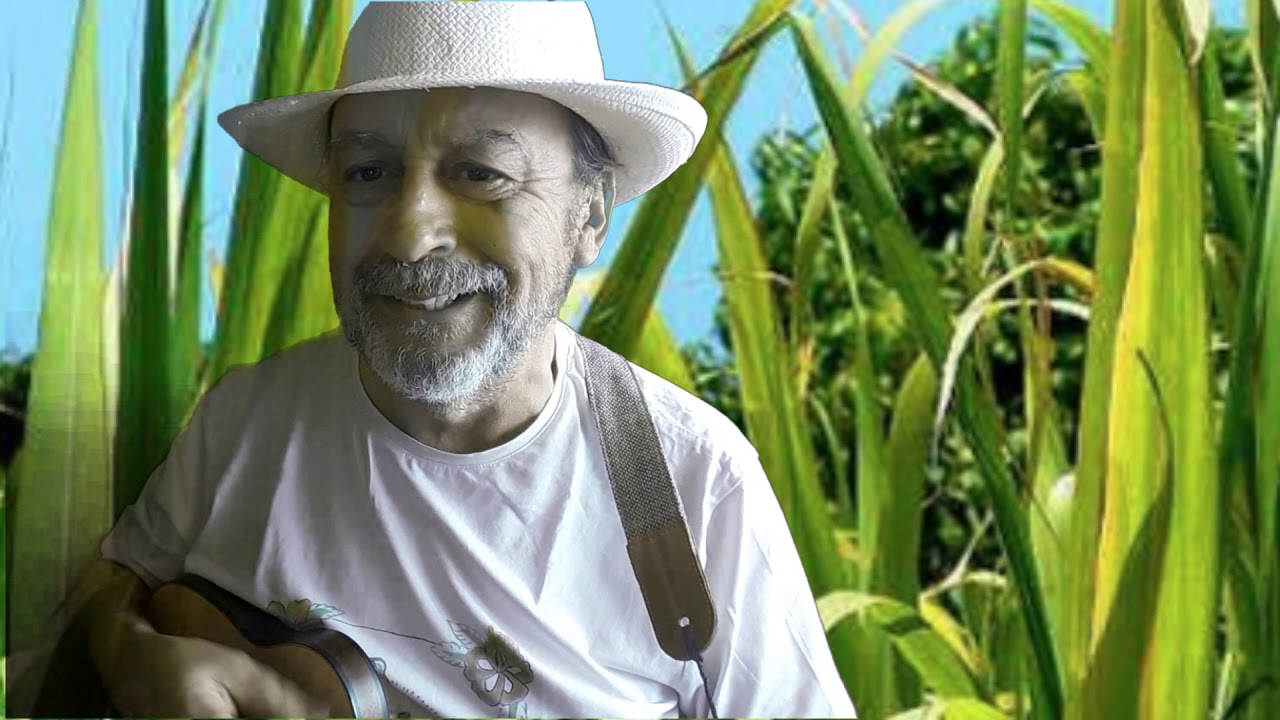 PLANTATION - Cover Ukulele by Sergio Uke
