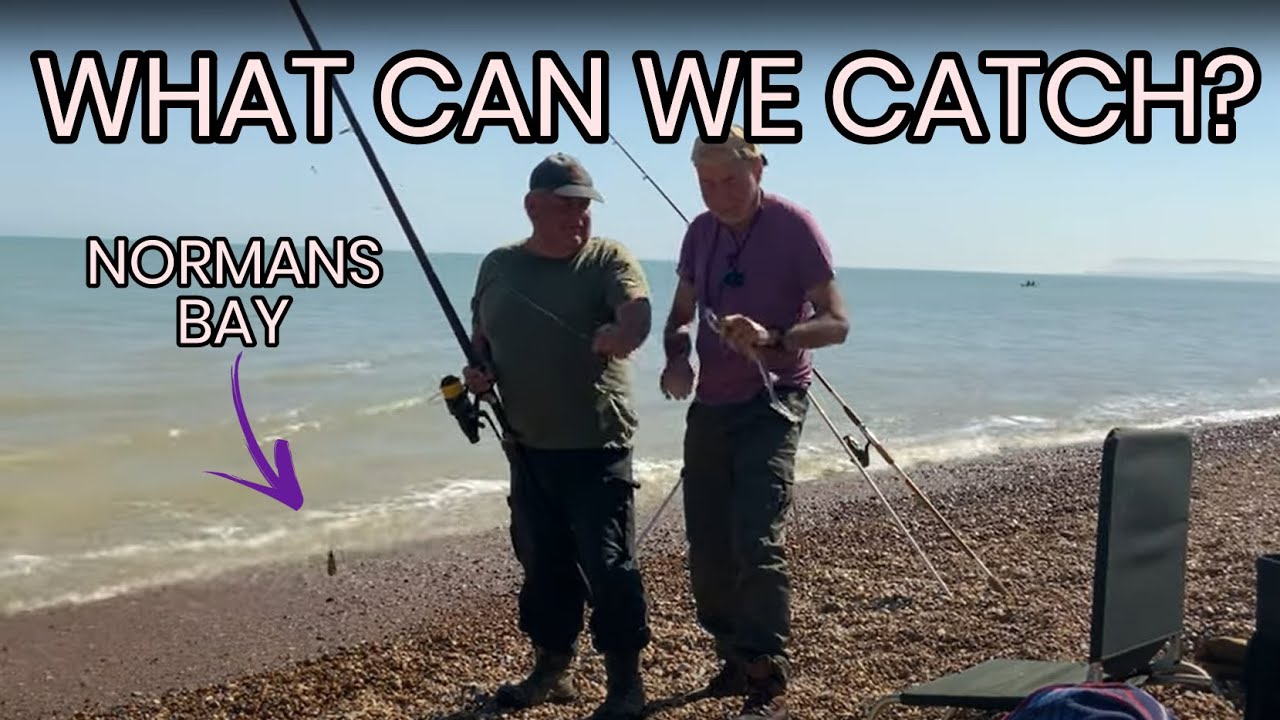Sea fishing Normans Bay Pevensey on a very hot day