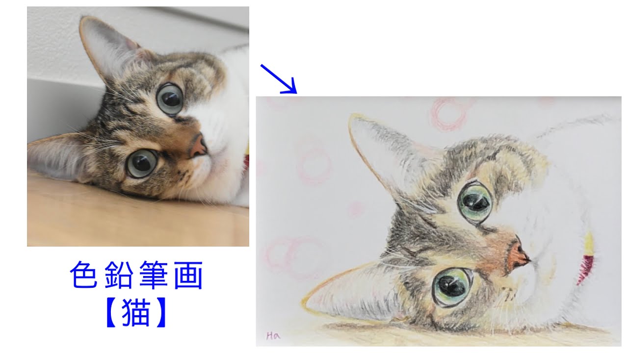【色鉛筆画】色鉛筆で猫ちゃんを描いてみました　＃色鉛筆＃猫＃ねこ